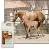 UltraCruz - sc-395351 Flax Oil Blend Supplement for Horses and Livestock, 1 Gallon view 2