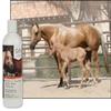 UltraCruz - sc-395301 Equine Bright White Horse Shampoo, 16 oz,Purple view 3