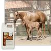 UltraCruz-sc-395355 Pure Wheat Germ Oil Supplement for Horses and Livestock, 1 Gallon view 4