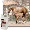 UltraCruz Equine Detangler Gel, 1 Gallon view 2