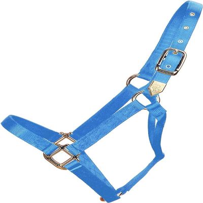 Hamilton Deluxe Horse Halter, 1" Triple Ply Nylon, Average Horse, Arabian, or Yearling Draft, 800-1100 lbs, Berry Blue