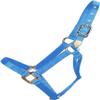 Hamilton Deluxe Horse Halter, 1" Triple Ply Nylon, Average Horse, Arabian, or Yearling Draft, 800-1100 lbs, Berry Blue view 1