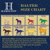 Hamilton Deluxe Horse Halter, 1" Triple Ply Nylon, Average Horse, Arabian, or Yearling Draft, 800-1100 lbs, Berry Blue view 3