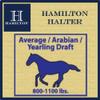 Hamilton Deluxe Horse Halter, 1" Triple Ply Nylon, Average Horse, Arabian, or Yearling Draft, 800-1100 lbs, Berry Blue view 4