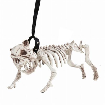 Widmann 01373 ? Skeleton Dog with Lead, 45 cm