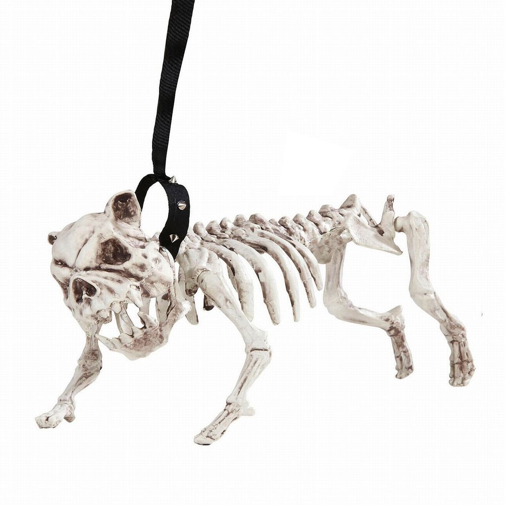 Widmann 01373 ? Skeleton Dog with Lead, 45 cm