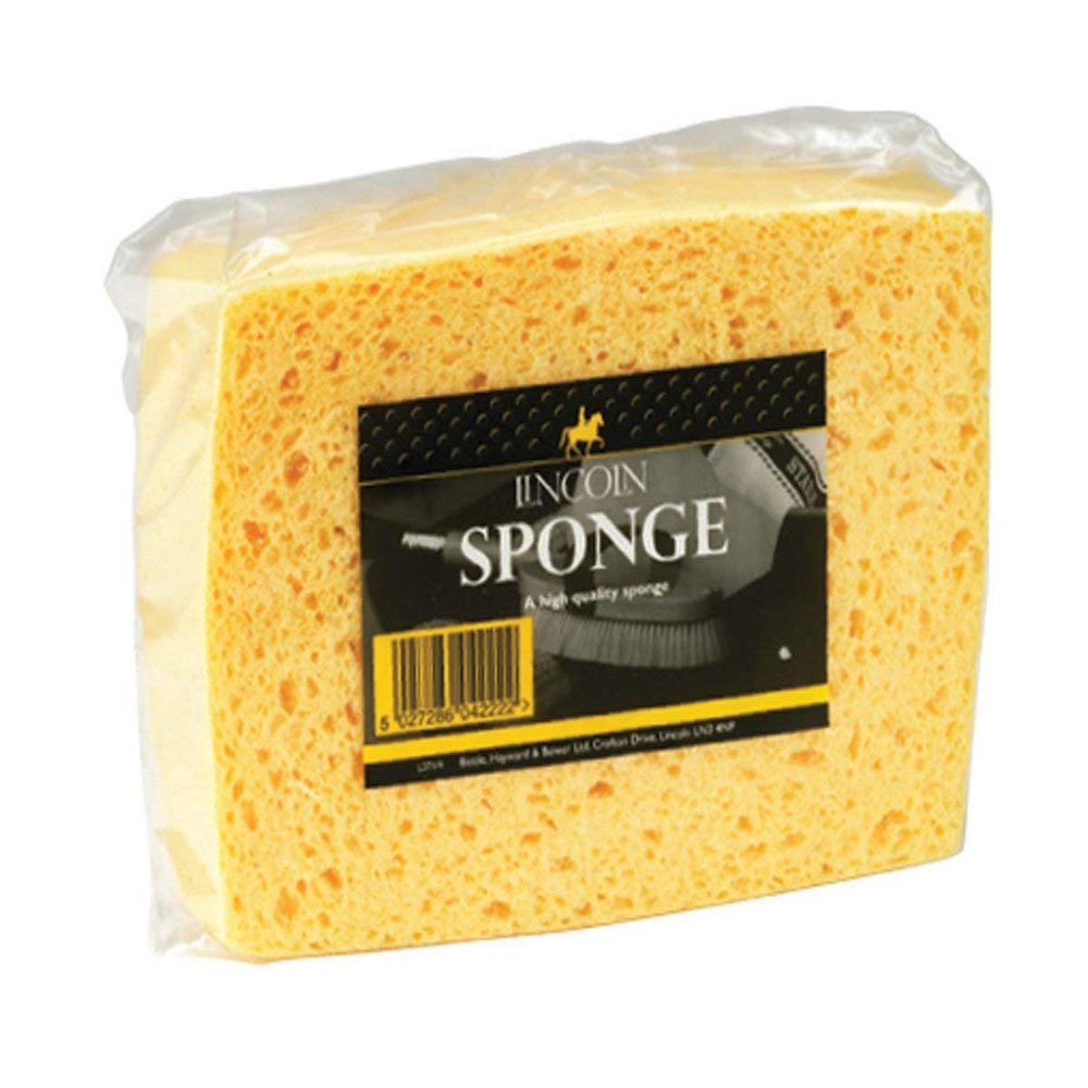 Lincoln Sponge One Size Yellow