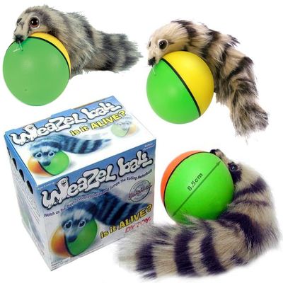 D.Y. TOY - The Original Weasel Ball, Interactive Motion Toy 3 Pack