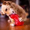 SPOT Play Strong Bone- Durable TPR Long Lasting Dog Chew for Aggressive Chewers, Hole for Treats, Virtually Indestructible Toy for Medium & Large Dogs & Puppies - 6.5 inch view 3