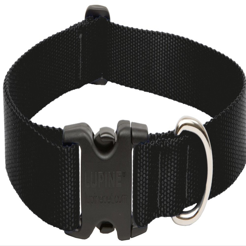 Lupine Collars & Leads 27553 1" X 16"-28" Adjustable Black Collar For Medium & Large Dogs