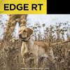 Dogtra Edge RT Blue Additional Receiver Long Range High-Output 1-Mile Waterproof 3-Dog Expandable Remote Dog Training E-Collar with Combination Boost Control for Professionals view 2