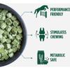 STANDLEE HAY Company Alfalfa/Tim Cubes, 40 lb view 2