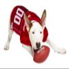 Pets First NCAA College Alabama Crimson Tide Mesh Jersey for DOGS & CATS, X-Large. Licensed Dog Jersey with your Favorite Football/Basketball College Team view 3