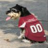 Pets First NFL NFC West Mesh Jersey for Dogs, X-Large, Arizona Cardinals view 2