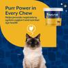 NaturVet L-Lysine Immune Support Plus Antioxidants Cat Supplement Helps Support Eye Health, Immune System for Cats Includes Amino Acids 60 Ct. Soft Chews, 30-Day Supply view 3