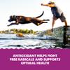 Grizzly Wild Antarctic Krill Oil All-Natural Antioxidant Dog Food Supplement, 8 oz view 4