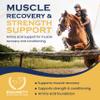 100-Day Supply Horse XL Supplement Amino Acids for Cellular Repair, Coat Defense, Weight Gain, Joint & Hoof Support No Soy/Sugar Equine Supplements for Muscle, Immune Support & Overall Health view 3
